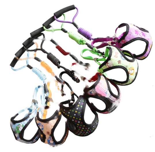 Mesh Breathable Chest Harness & Leash