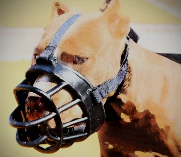 Silicone Anti-Bite Dog Muzzle